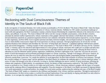 Essay on Reckoning with Dual Consciousness: Themes of Identity in the Souls of Black Folk