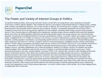 Essay on The Power and Variety of Interest Groups in Politics