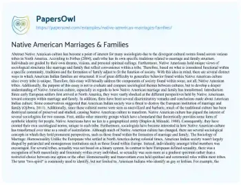 Essay on Native American Marriages & Families