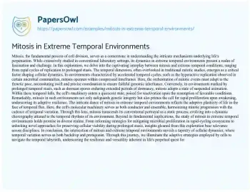 Essay on Mitosis in Extreme Temporal Environments