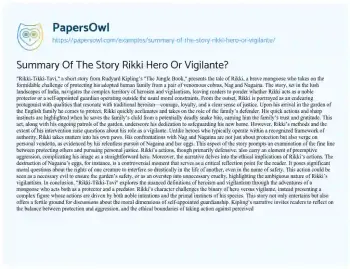 Essay on Summary of the Story Rikki Hero or Vigilante?