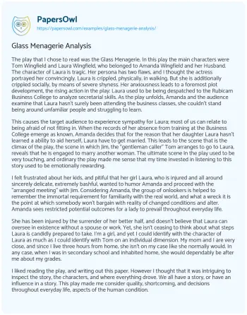 Essay on Glass Menagerie Analysis