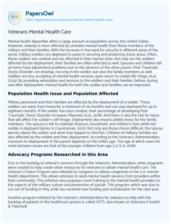 Essay on Veterans Mental Health Care