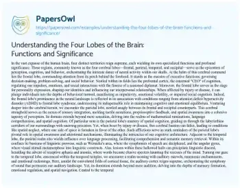 Essay on Understanding the Four Lobes of the Brain: Functions and Significance