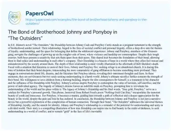 Essay on The Bond of Brotherhood: Johnny and Ponyboy in “The Outsiders”