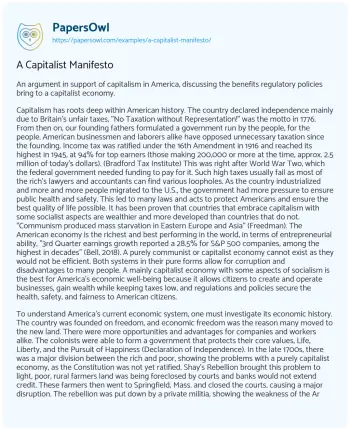 Essay on A Capitalist Manifesto