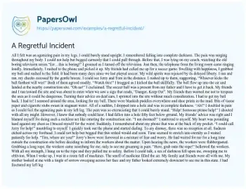 Essay on A Regretful Incident