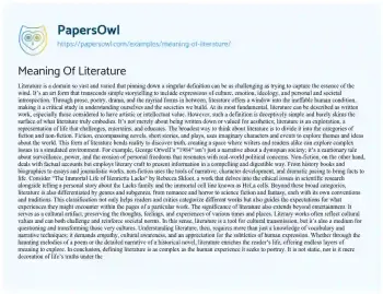 Essay on Meaning of Literature