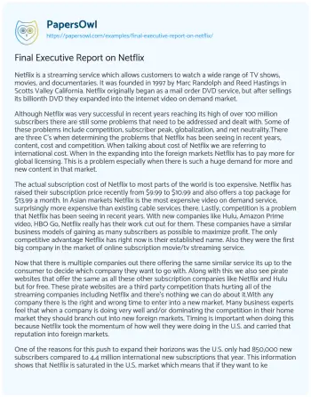 Essay on Final Executive Report on Netflix