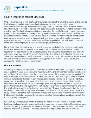 Essay on Health Insurance Market Structure