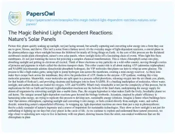 Essay on The Magic Behind Light-Dependent Reactions: Nature’s Solar Panels