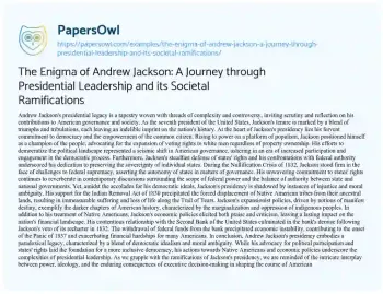 Essay on The Enigma of Andrew Jackson: a Journey through Presidential Leadership and its Societal Ramifications