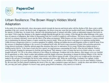 Essay on Urban Resilience: the Brown Wasp’s Hidden World Adaptation