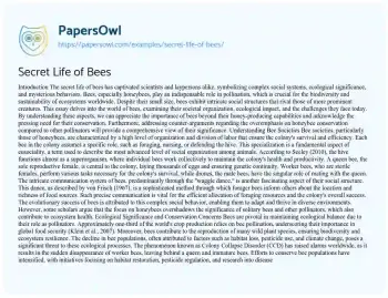 Essay on Secret Life of Bees