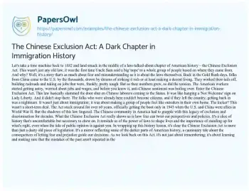 Essay on The Chinese Exclusion Act: a Dark Chapter in Immigration History