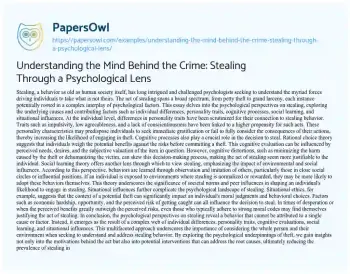 Essay on Understanding the Mind Behind the Crime: Stealing through a Psychological Lens