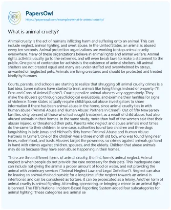 Essay on What is Animal Cruelty?