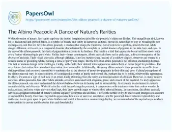 Essay on The Albino Peacock: a Dance of Nature’s Rarities