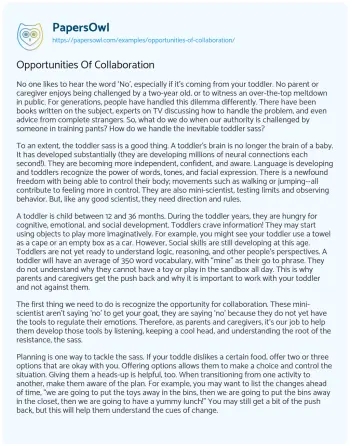 Essay on Opportunities of Collaboration