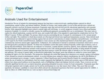 Essay on Animals Used for Entertainment