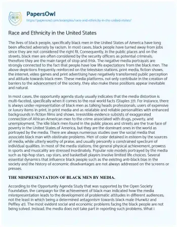 Essay on Race and Ethnicity in the United States