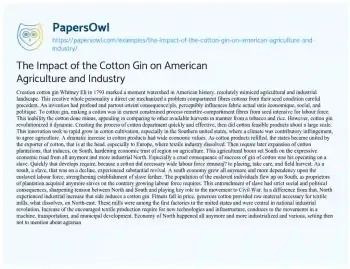 Essay on The Impact of the Cotton Gin on American Agriculture and Industry