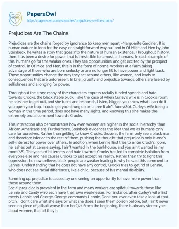 Essay on Prejudices are the Chains