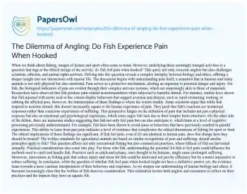 Essay on The Dilemma of Angling: do Fish Experience Pain when Hooked