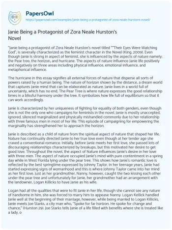 Essay on Janie being a Protagonist of Zora Neale Hurston’s Novel