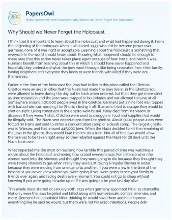 Essay on Why should we Never Forget the Holocaust