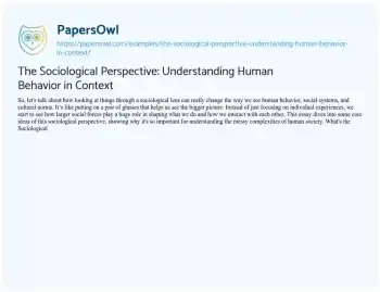 Essay on The Sociological Perspective: Understanding Human Behavior in Context