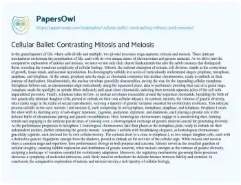 Essay on Cellular Ballet: Contrasting Mitosis and Meiosis