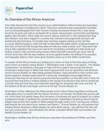 Essay on An Overview of the African American