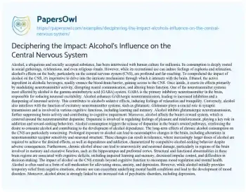 Essay on Deciphering the Impact: Alcohol’s Influence on the Central Nervous System