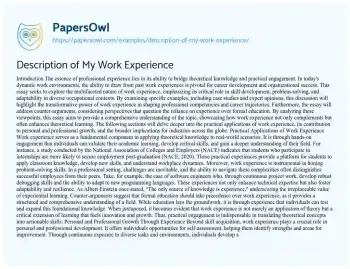 Essay on Description of my Work Experience