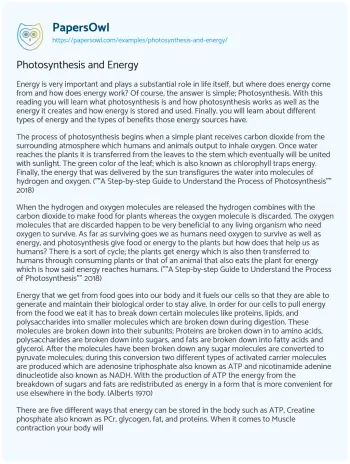 Essay on Photosynthesis and Energy