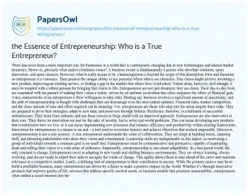 Essay on the Essence of Entrepreneurship: who is a True Entrepreneur?