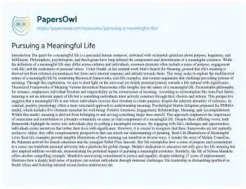 Essay on Pursuing a Meaningful Life