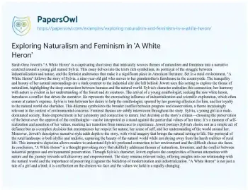 Essay on Exploring Naturalism and Feminism in ‘A White Heron’