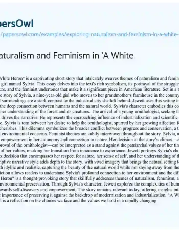 Essay on Exploring Naturalism and Feminism in ‘A White Heron’