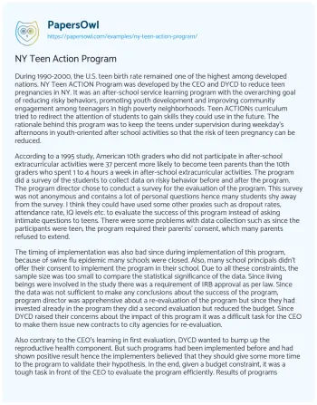 Essay on NY Teen Action Program