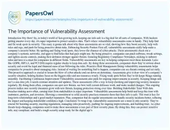 Essay on The Importance of Vulnerability Assessment