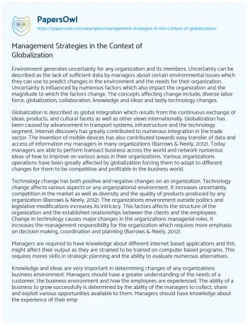 Essay on Management Strategies in the Context of Globalization