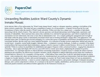 Essay on Unraveling Realities Justice: Ward County’s Dynamic Inmate Mosaic