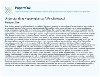 Essay on Understanding Hypervigilance: a Psychological Perspective