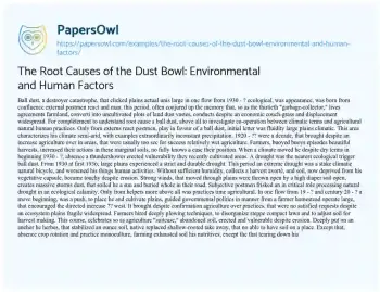 Essay on The Root Causes of the Dust Bowl: Environmental and Human Factors