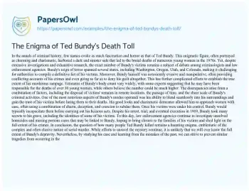 Essay on The Enigma of Ted Bundy’s Death Toll