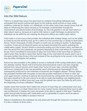 Essay on Into the Wild Nature