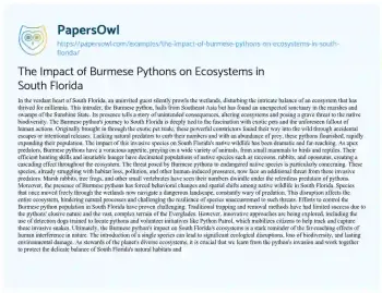 Essay on The Impact of Burmese Pythons on Ecosystems in South Florida