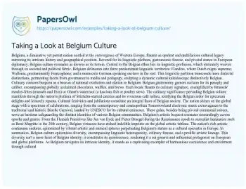 Essay on Taking a Look at Belgium Culture